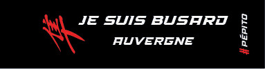 PORTE CLES JE SUIS BUSARD ANCIENNES REGIONS GEN1