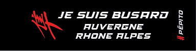 PORTE CLES JE SUIS BUSARD NOUVELLES REGIONS GEN1