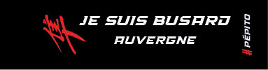 PORTE CLES JE  SUIS BUSARD ANCIENNES REGIONS GEN2
