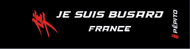 PORTE CLES JE SUIS BUSARD PAYS GEN2