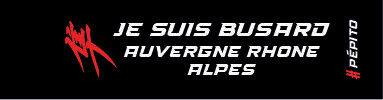 PORTE CLÉS JE SUIS BUSARD NOUVELLES REGIONS GEN2