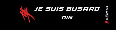 PORTE CLES JE SUIS BUSARD DEPARTMENTS GEN2