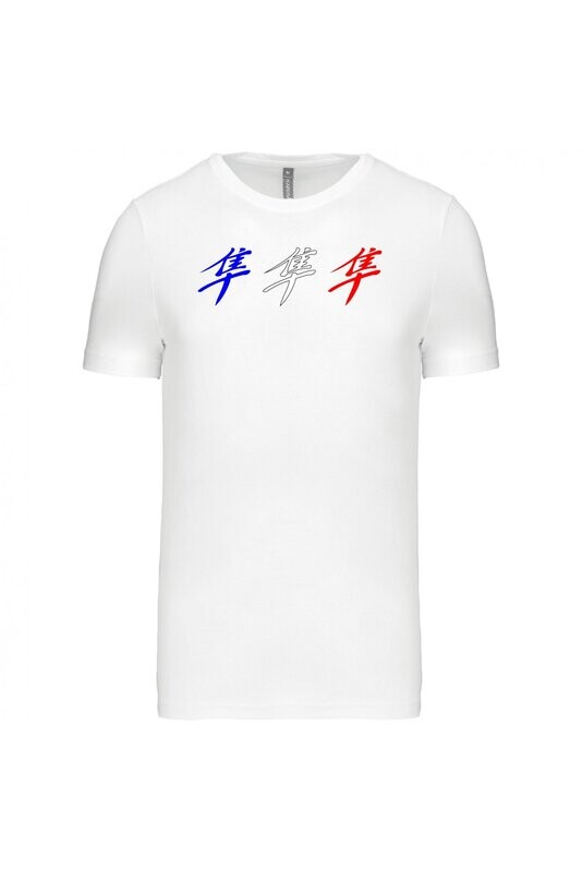 TEE SHIRT KANJI HAYABUSA GEN1 HOMME COL ROND