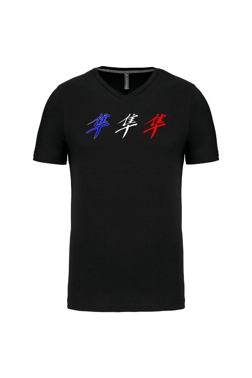 TEE SHIRT KANJI HAYABUSA GEN1 HOMME COL V