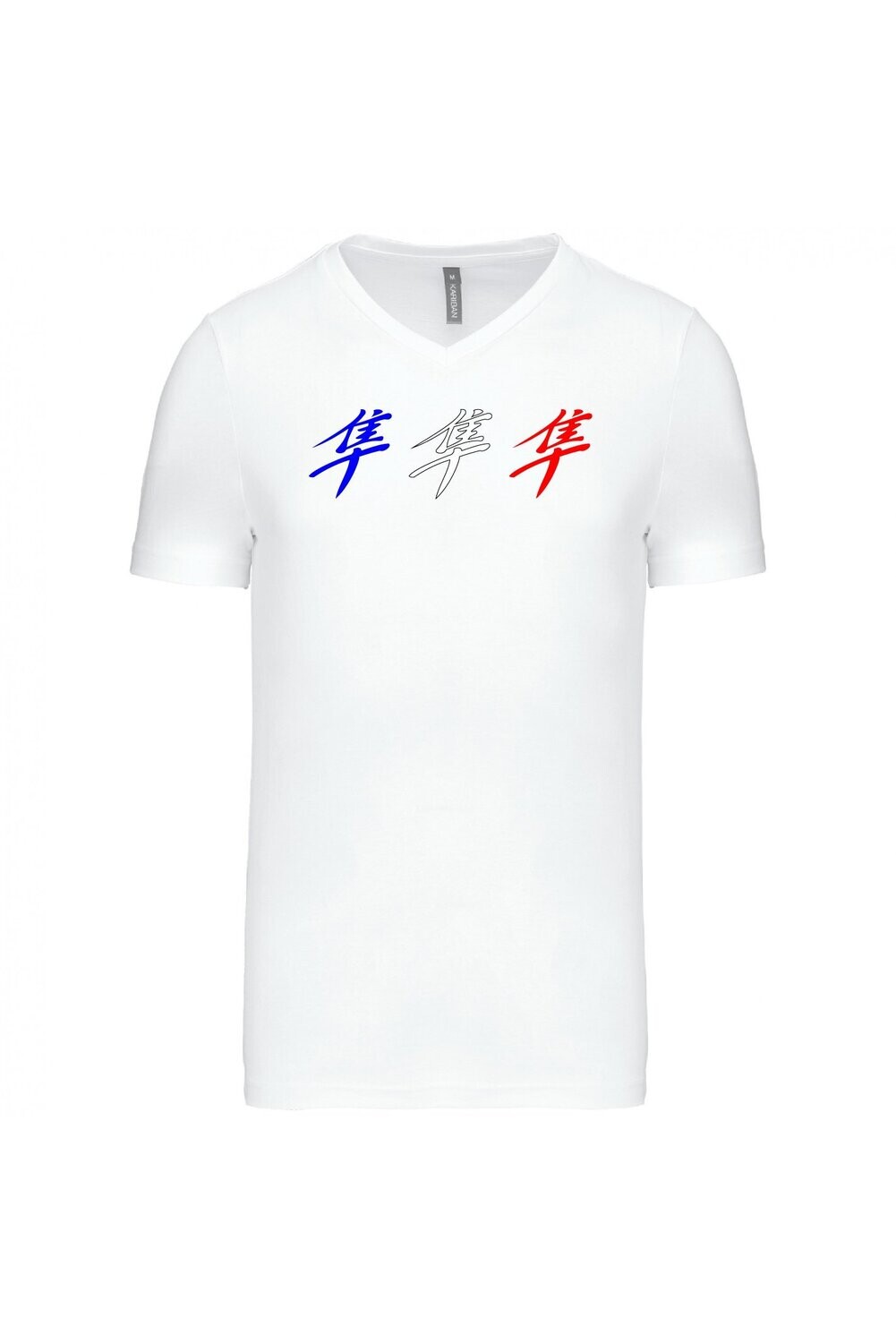 TEE SHIRT KANJI HAYABUSA GEN1 HOMME COL V