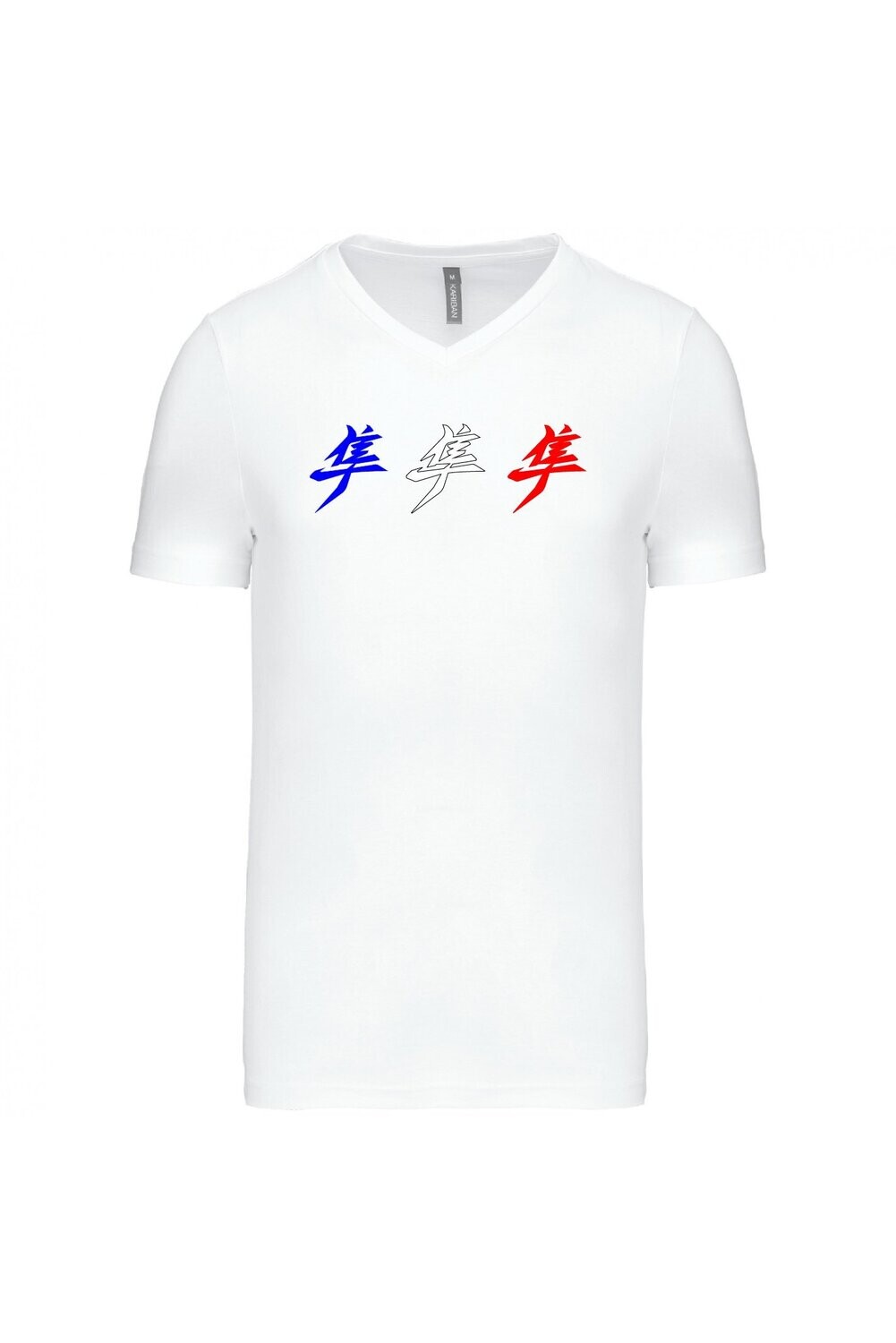 TEE SHIRT KANJI HAYABUSA GEN3 HOMME COL V