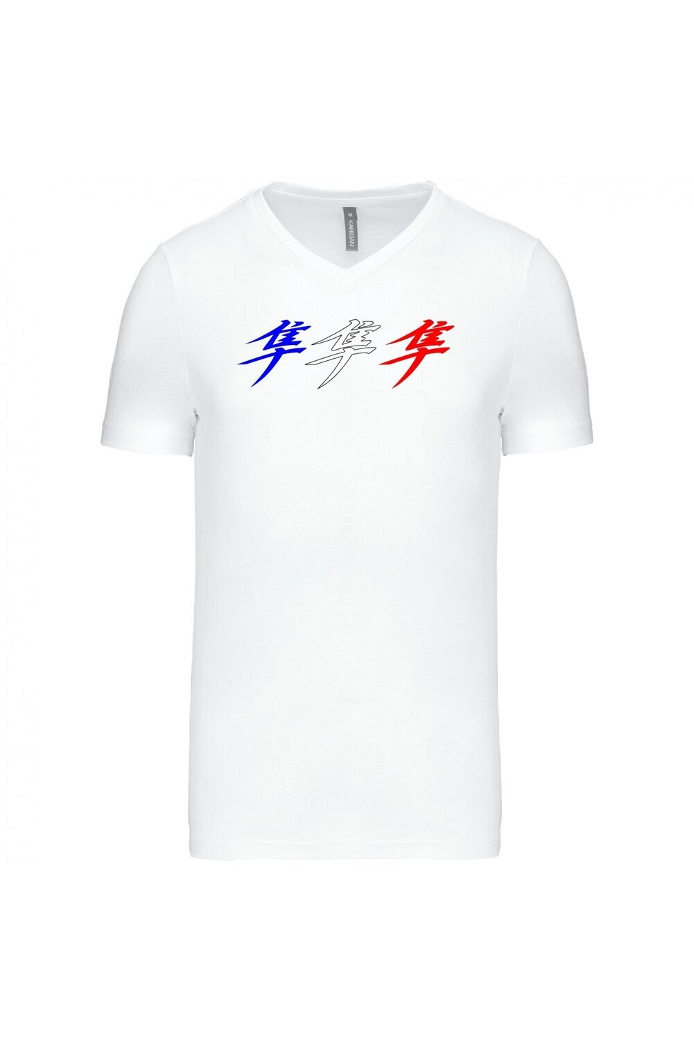 TEE SHIRT KANJI HAYABUSA GEN2 HOMME COL V