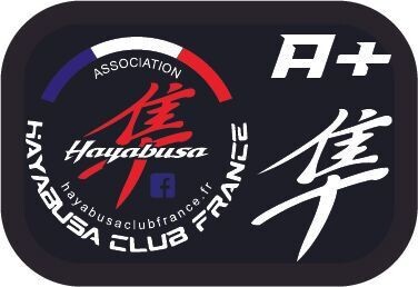 STICKER GROUPE SANGUIN HAYABUSA GEN1