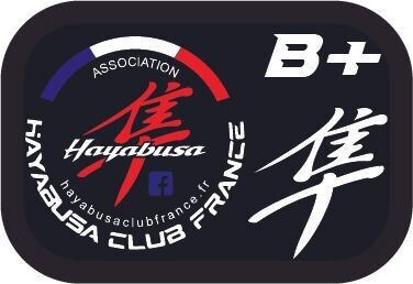 Sticker groupe sanguin