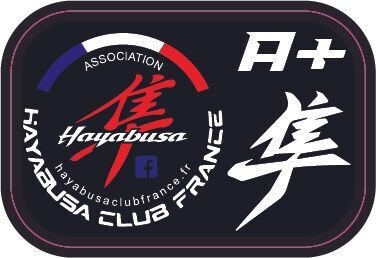 STICKER GROUPE SANGUIN HAYABUSA GEN3