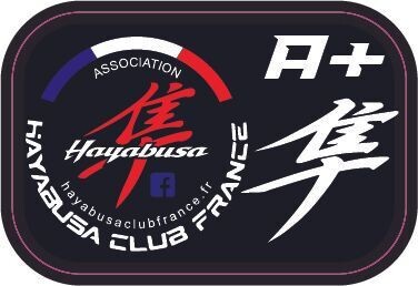 STICKER GROUPE SANGUIN HAYABUSA GEN2