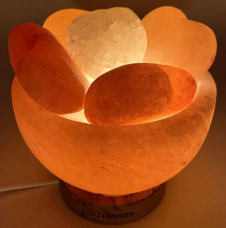 Lampe de Sel Himalaya Bol & Coeurs 3.5KG