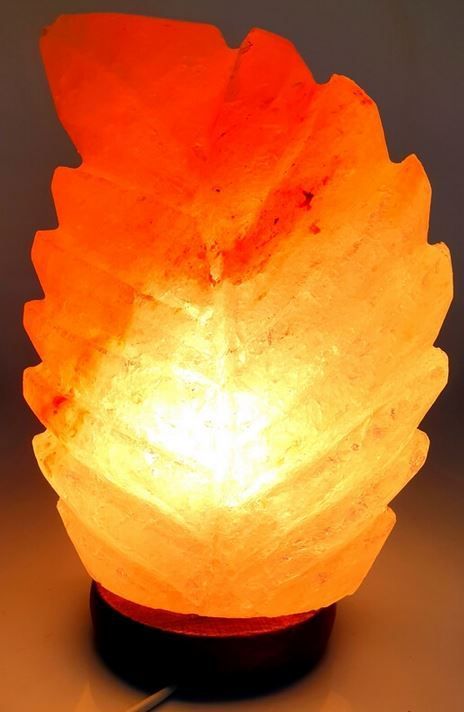 Lampe de Sel Feuille 3KG
