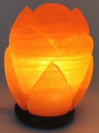Lampe de Sel Himalaya Tulipe 3KG