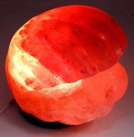 Lampe de Sel Himalaya Coquillage 3KG
