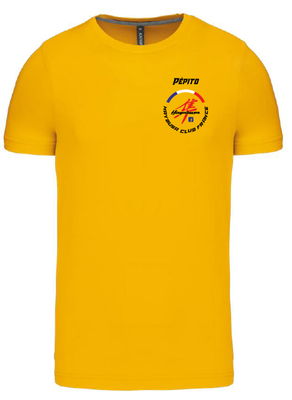 Tee shirt Hayabusa Club France (Coeur + dos)