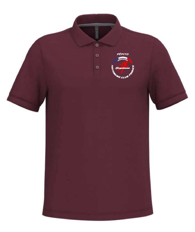 Polo Hayabusa Club France