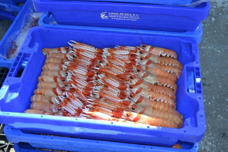 Cigalas extras