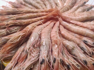 Gamba blanca de Huelva