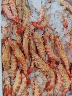 Langostinos Tigre