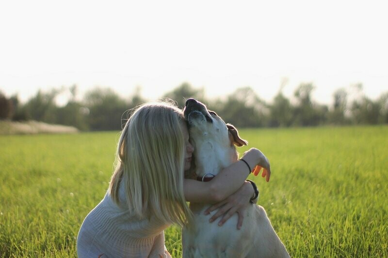 Communication animale intuitive complète