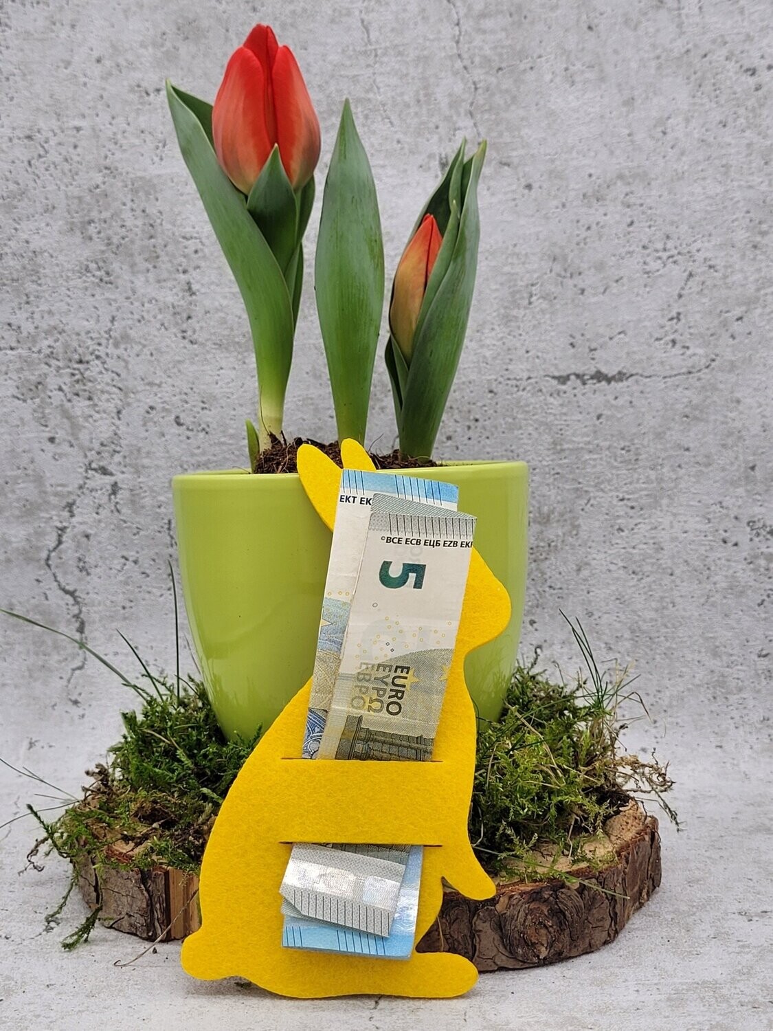 Halterung Geld oder Schoki | Häschen Maxi