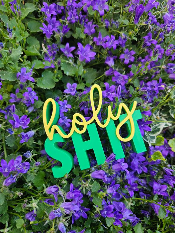 holy Shit | 3D Druck holy Shit | 3D Druck