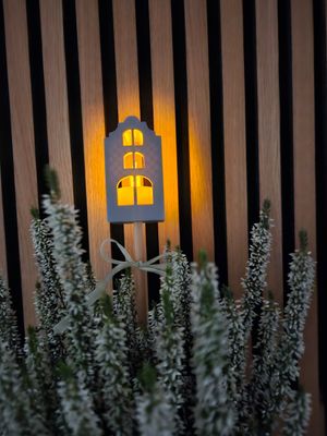 Häuschenstecker -| 3D Druck Häuschenstecker -| 3D Druck