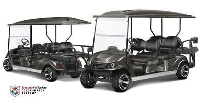 DoubleTake Golf Carts for Sale