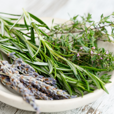 Herb Sample Kit