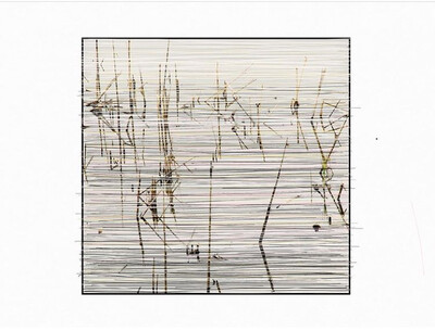 &#39;glake&#39; signature print