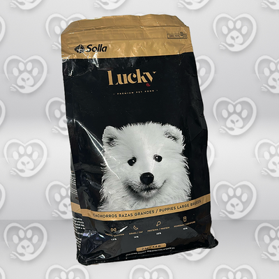 Lucky Cachorro Raza Grande Lucky Cachorro Raza Grande