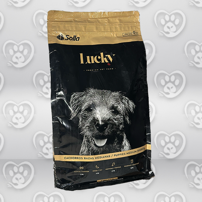 Lucky Cachorro Raza Mediana Lucky Cachorro Raza Mediana