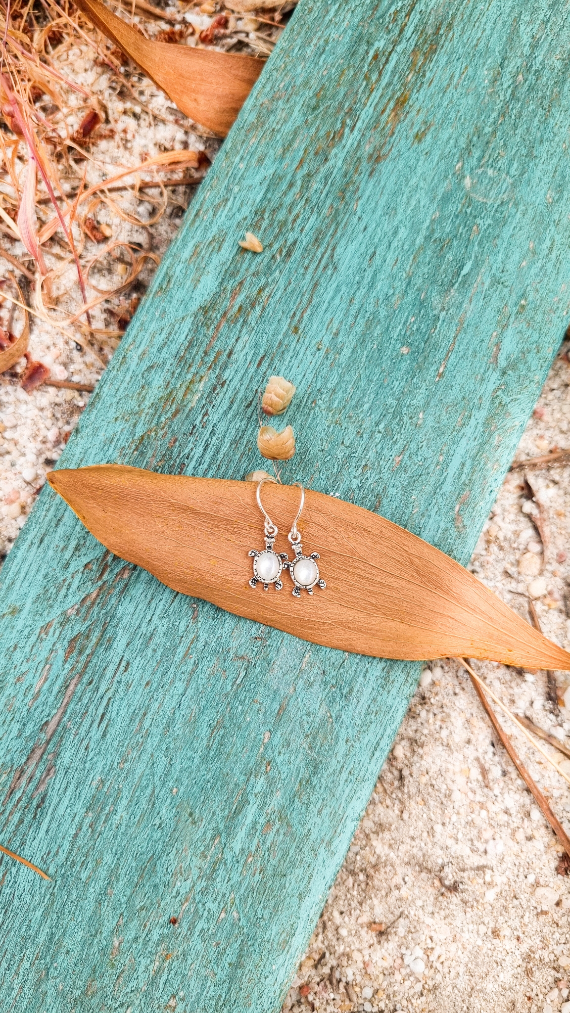 Brinco a Tartaruguinha Solar