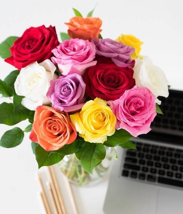A Dozen Rainbow Roses