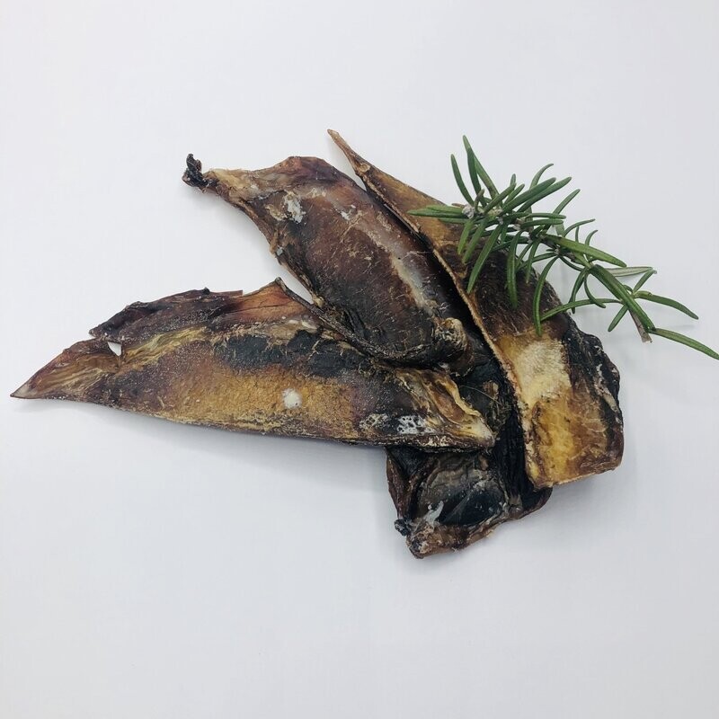 Hirsch-Schulterknorpel
