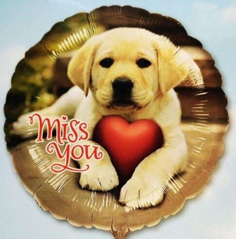 Folienballon "Miss You Welpe" - 45 cm - gefüllt