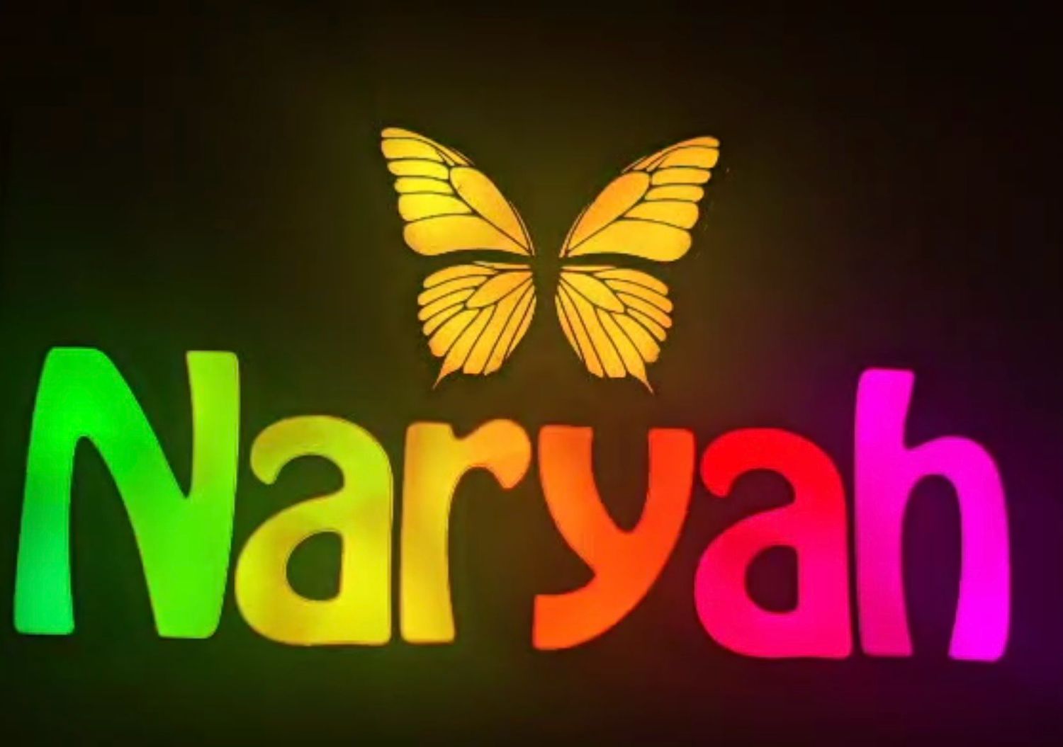 LED Name Lights - POA