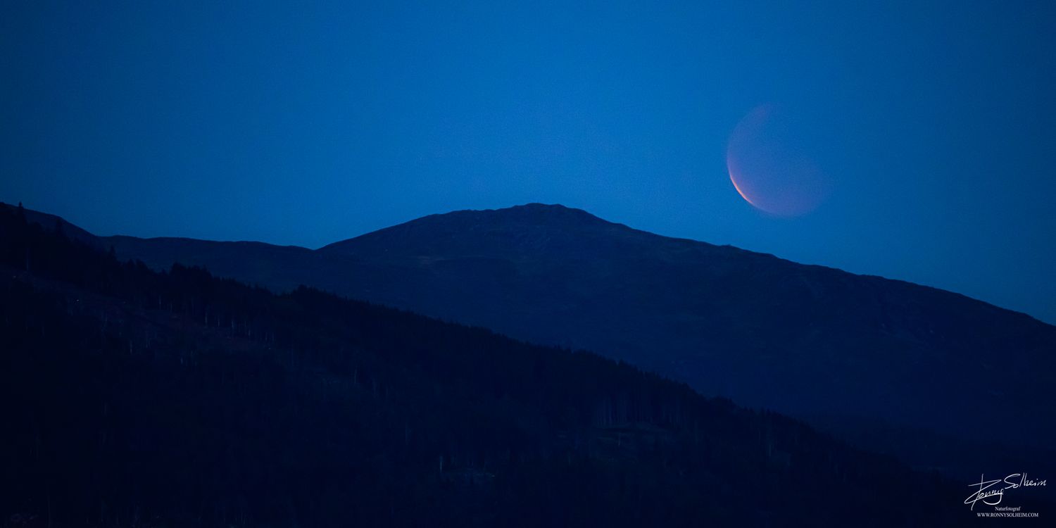 Blodmånen og Blånibba  1x2