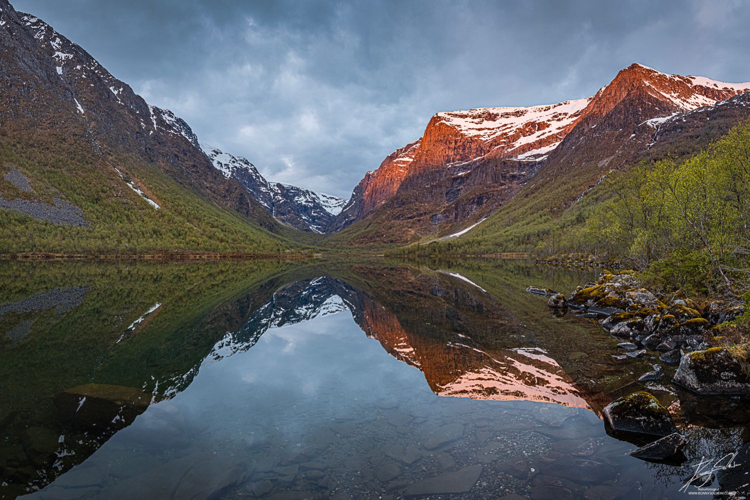 Traudalen ein tidleg sommar morgon