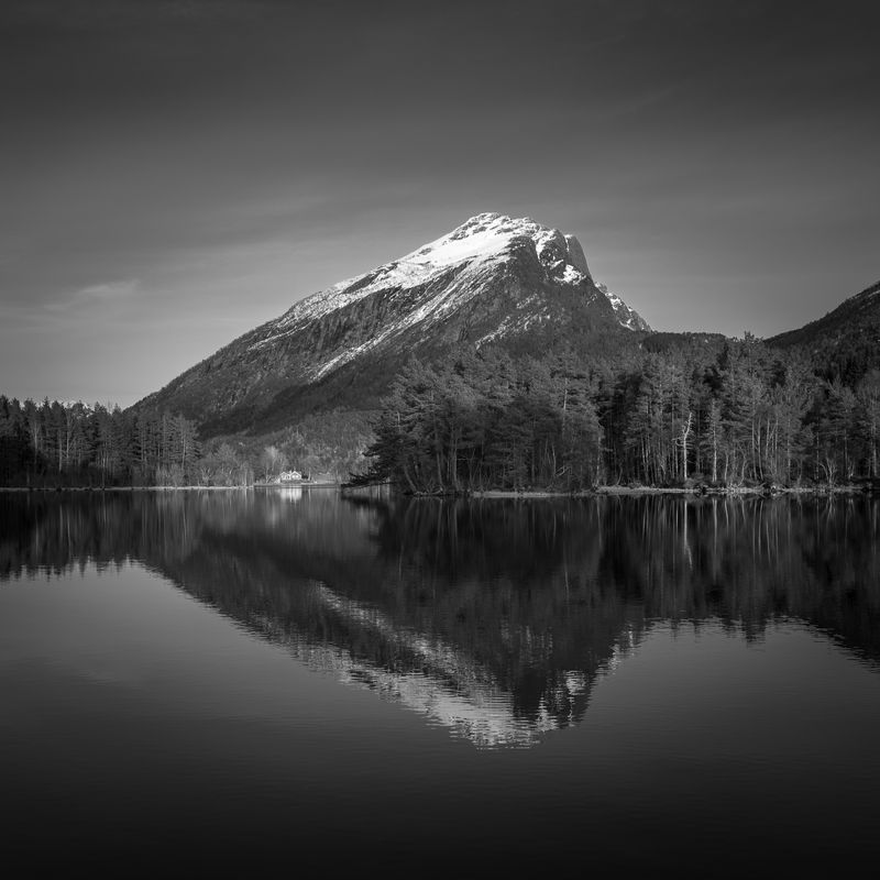 Ryssdalshornet