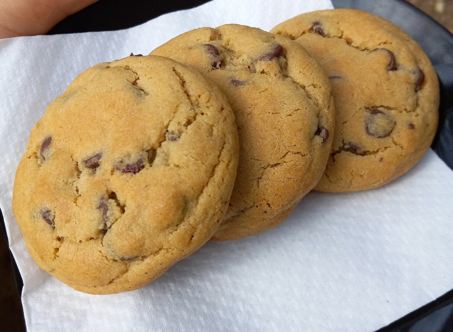 GF chocolate chip 3 ct