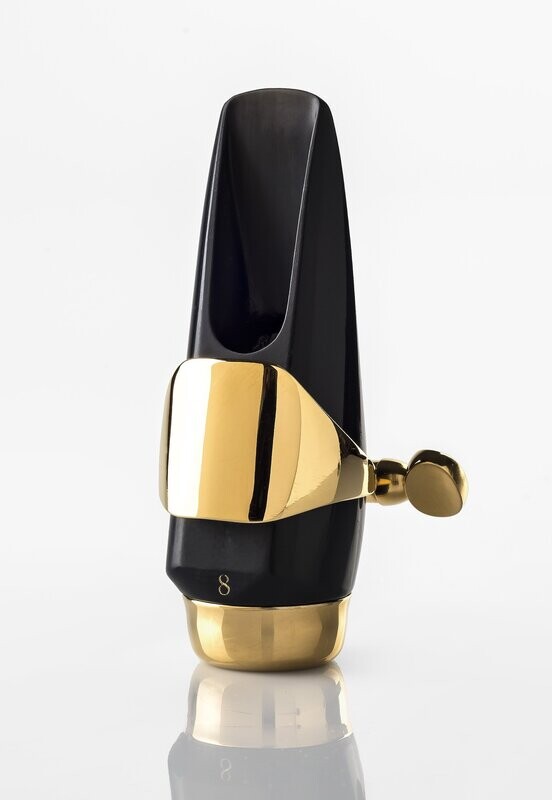 Alto Saxophon Blackbird