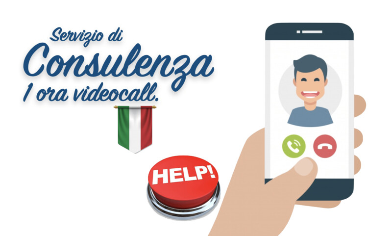 CONSULENZA 1 videocall