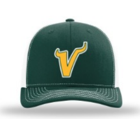 Trucker V Hat