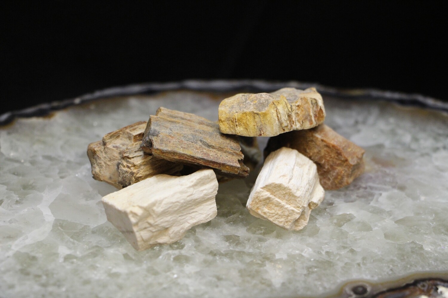 Petrified Wood