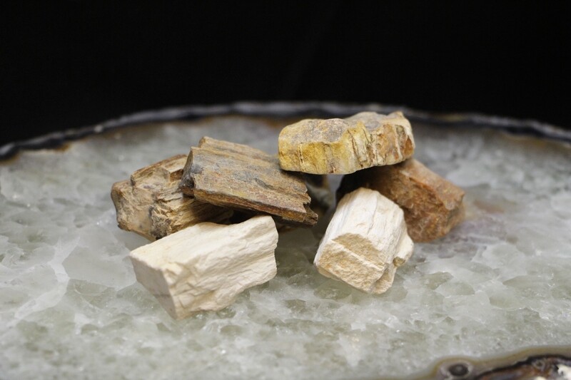Petrified Wood