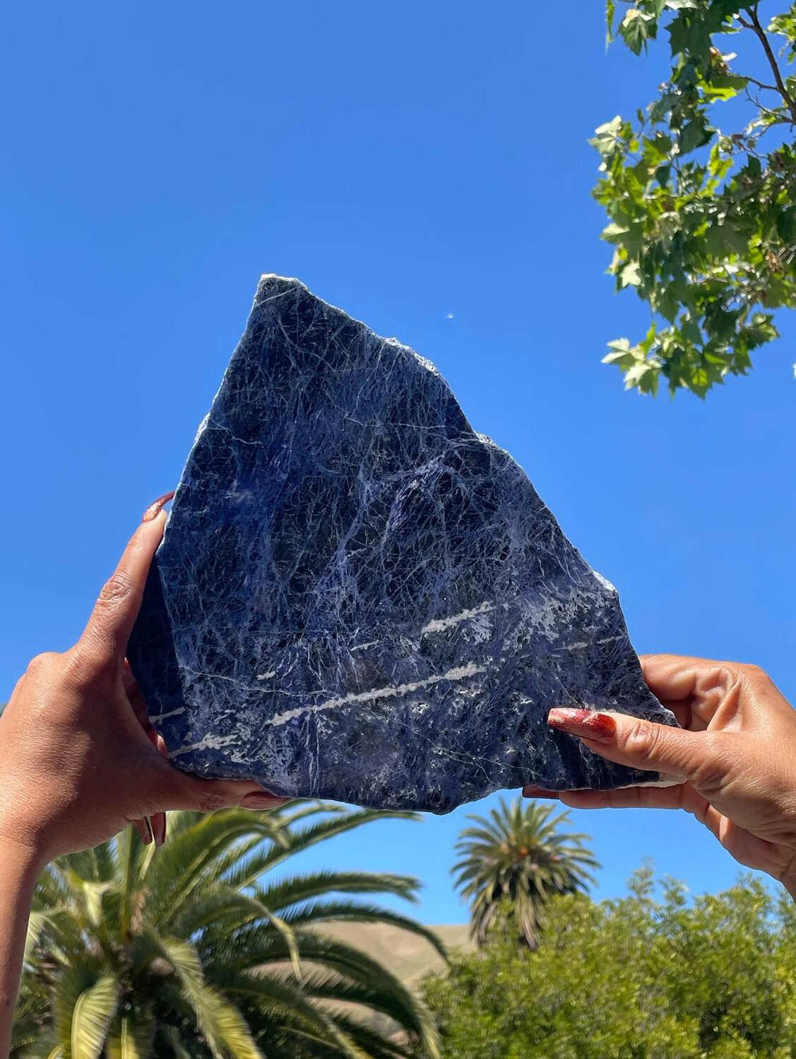 Sodalite Jumbo Slab 12.5&#39;&#39;
