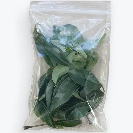 Curry Leaves