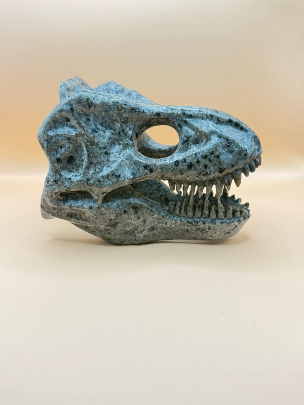 Yuperite T-Rex Scull
